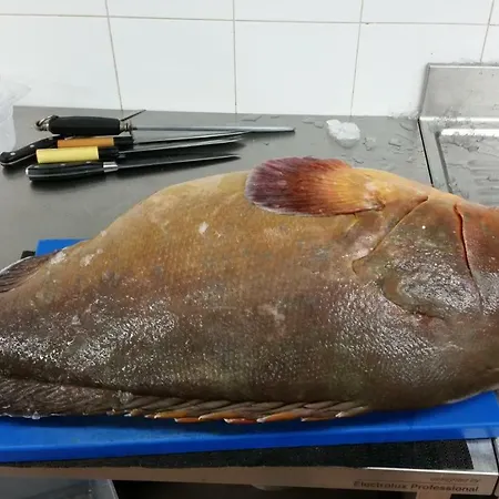 招待所 S'apposenteddu Del Ristorante Da Stefano 特乌拉达